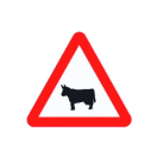 Paso de animales domesticos