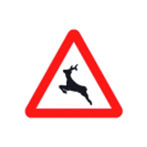 Paso de animales en libertad