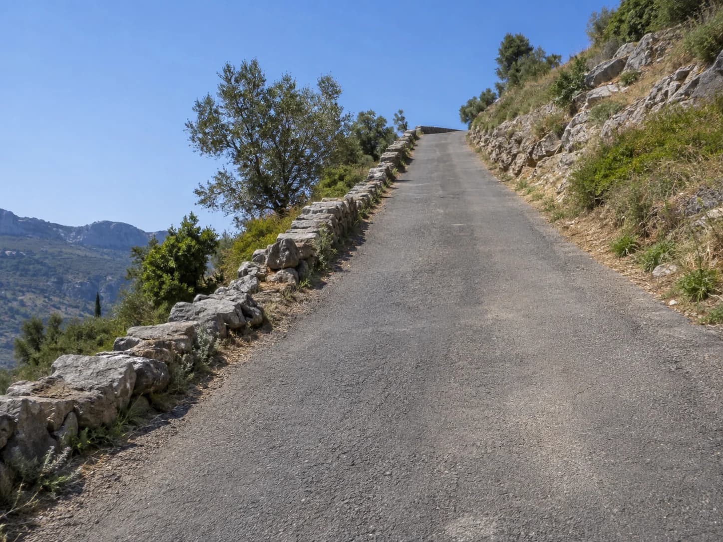 On a narrow, steep section, with no signs or officer regulating priority, a truck and a car cannot pass each other. The uphill vehicle cannot reach a passing place first. Which vehicle has priority?